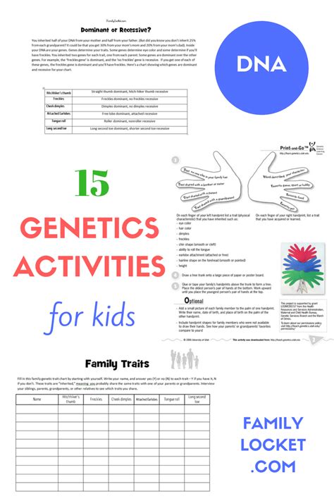 dna worksheet middle school pdf|genetics and heredity worksheet pdf.